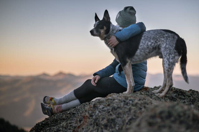Beanie and Dog