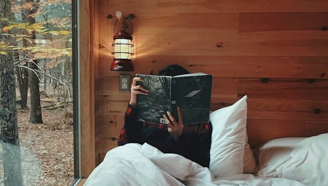 Down Comforter Alternative