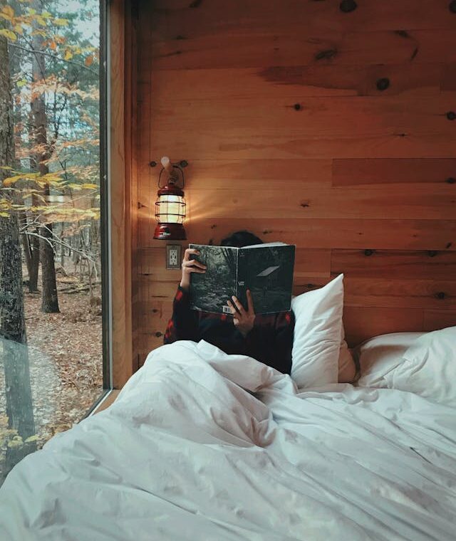 Down Comforter Alternative